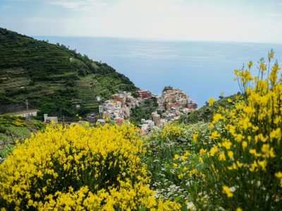 pexels-andrea-musto-14201345