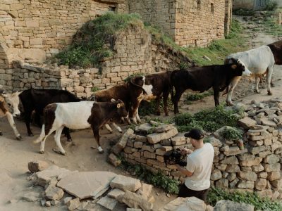 pexels-cottonbro-9908292